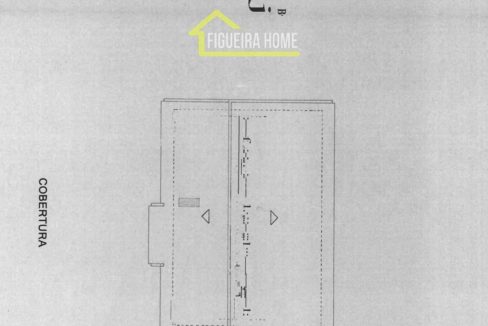 FH2462 - PLANTAS (1)