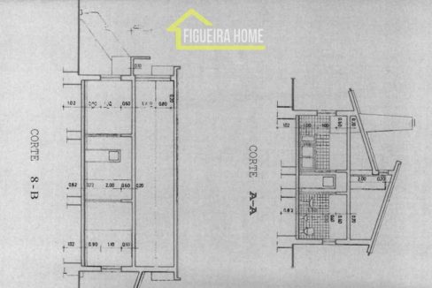FH2462 - PLANTAS (2)