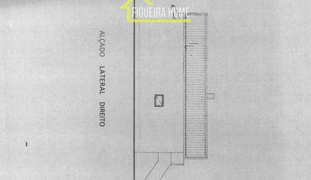 FH2462 - PLANTAS (3)