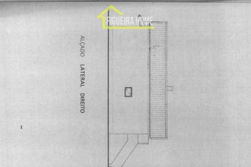 FH2462 - PLANTAS (3)