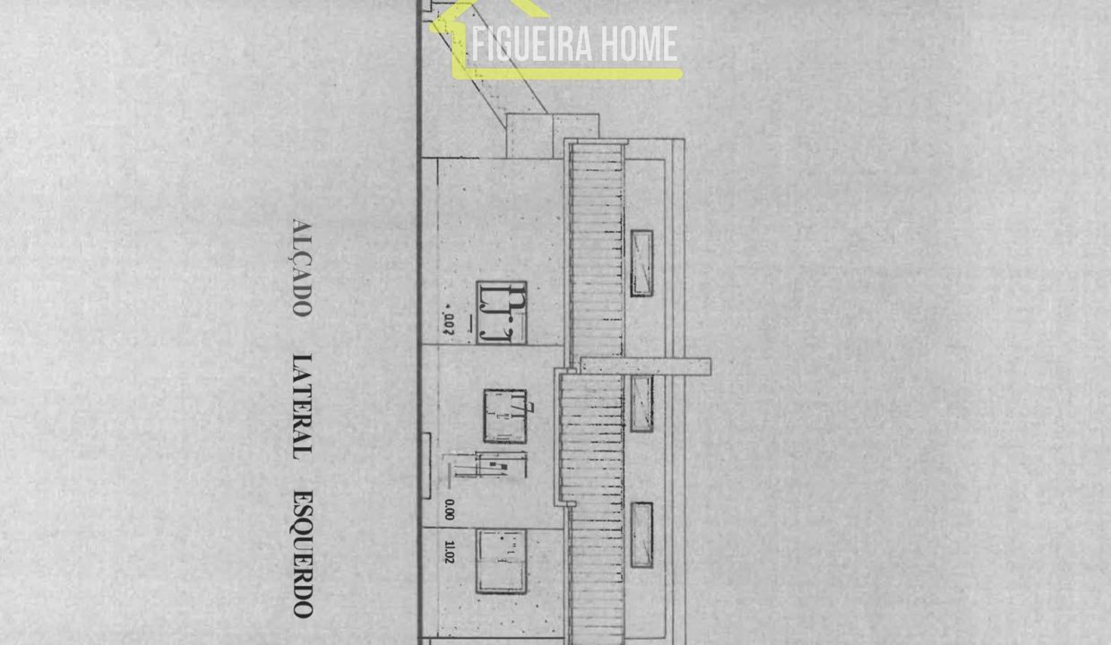 FH2462 - PLANTAS (4)