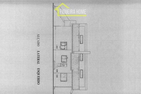 FH2462 - PLANTAS (4)