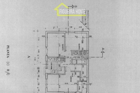 FH2462 - PLANTAS (5)