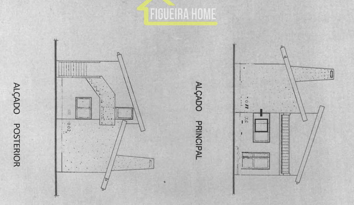 FH2462 - PLANTAS (6)