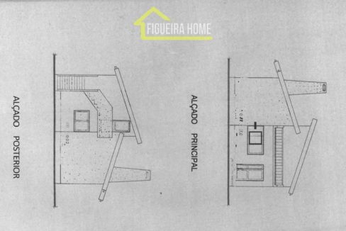 FH2462 - PLANTAS (6)