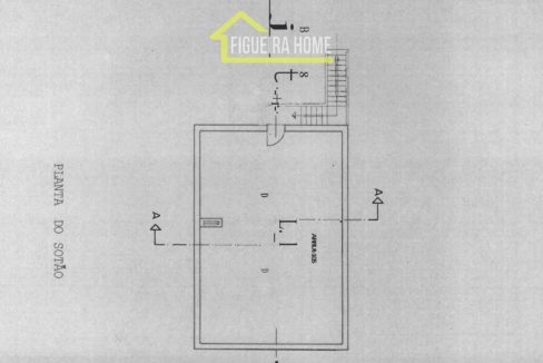 FH2462 - PLANTAS (7)